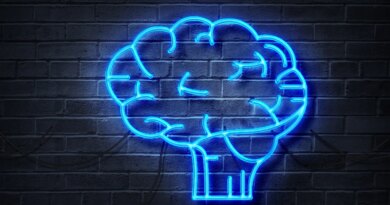neon rendering of a brain