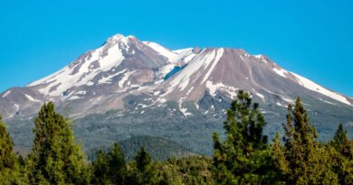 Hikers rescued after using Google Gemini for planning | TechCrunch
