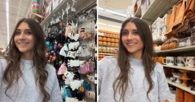 I compared shopping for seasonal fall decor at Hobby Lobby and Michaels
