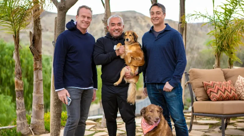 I thought, 'What's more valuable than the family dog?' That question became a company with nearly $100M in sales.
