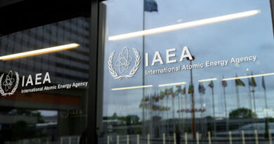 IAEA reports progress in Syria investigation, none in Iran