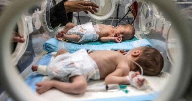 Incubator shortages, premature births strain Gaza's hospitals