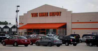 Influencers are urging Home Depot and Lowe's to drop Flock