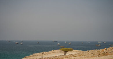 Iran says to announce new restricted zone in the Gulf in the coming days