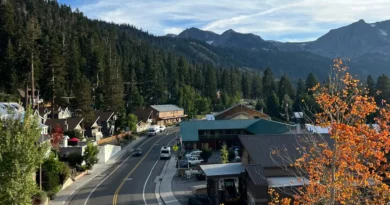I've lived in California my entire life. Here are 5 of my favorite places to visit during the fall months.