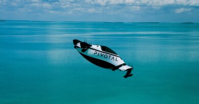 Larry Page's flying car company Pivotal loses its CEO | TechCrunch