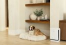 Levoit's new air purifier is for the pet odors that have taken over your apartment | TechCrunch