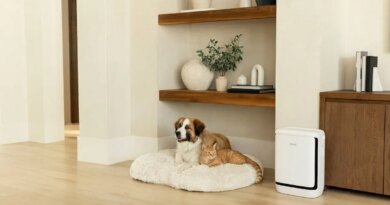 Levoit's new air purifier is for the pet odors that have taken over your apartment | TechCrunch