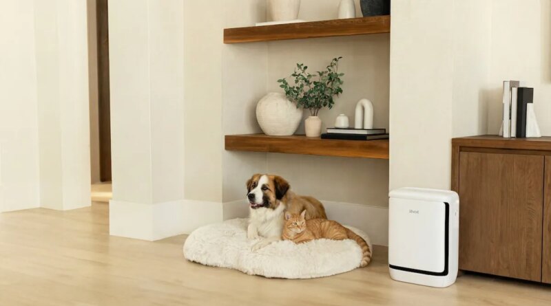 Levoit's new air purifier is for the pet odors that have taken over your apartment | TechCrunch