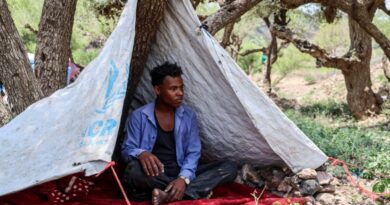 More than 140 killed in latest Yemen clashes: military sources
