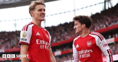 Martin Odegaard celebrates his goal with Arsenal's fans