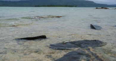 One dead, more than 30 missing after Vanuatu ferry sinks, PM’s office says