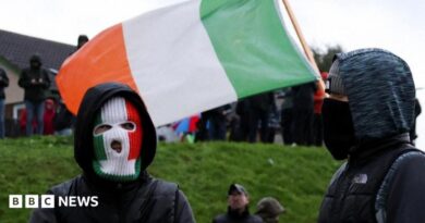 A person wears an Irish flag themed mask with another person next to them wearing a beanie and ski mask with protesters and the Irish flag behind them