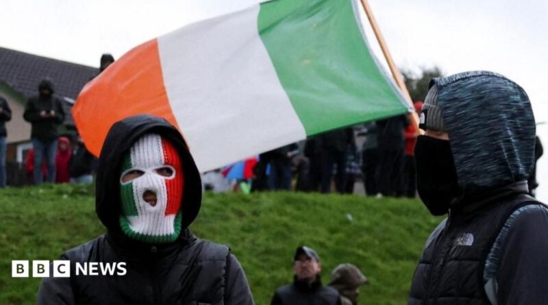 A person wears an Irish flag themed mask with another person next to them wearing a beanie and ski mask with protesters and the Irish flag behind them