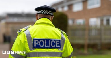 A stock image of a police officer with his back to the camera