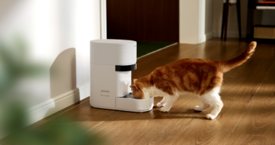 Petlibro’s new AI-powered feeder is a game changer for multi-cat homes | TechCrunch