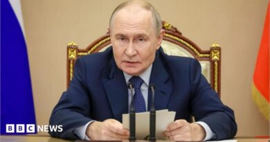 Putin sits in front of a desk and microphone holding some notes