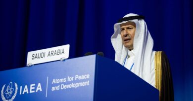 Saudi Arabia finds 114M tons of rare earths, uranium: What to know