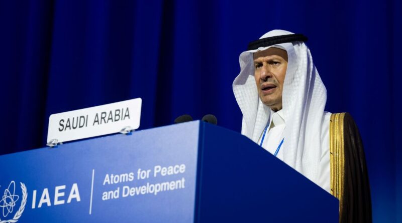 Saudi Arabia finds 114M tons of rare earths, uranium: What to know
