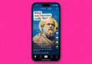 ScrollEd wants to turn textbooks into TikTok | TechCrunch ScrollEd wants to turn textbooks into TikTok | TechCrunch