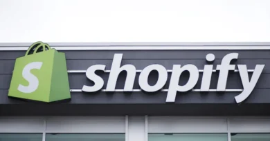 Shopify's COO says her ideal employee is an 'X-shaped' person