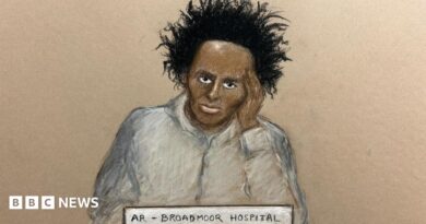 A court sketch of Axel Rudakubana sitting on a video link in court