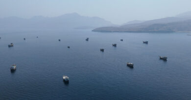 Strait of Hormuz commodity vessel transits stay in single digits, data shows