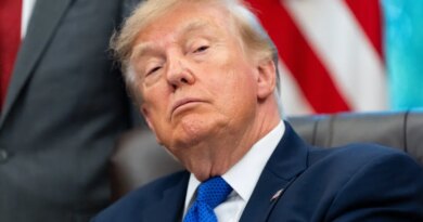 Taxpayer-funded Trump ads violate laws against propaganda, experts say. The White House calls them a 'reminder for Americans to love their country' | Fortune
