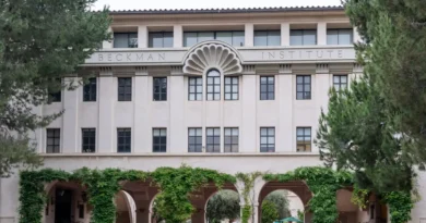 The 25 colleges where students study the most hours a week, ranked