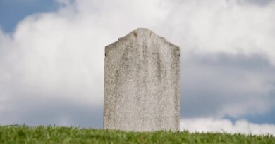 The AI graveyard: a running list of projects and startups that didn't make it | TechCrunch