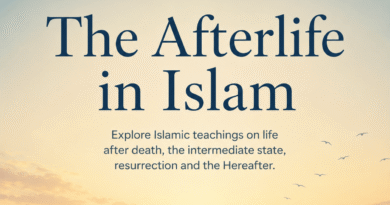 The Afterlife in Islam - The Islamic College