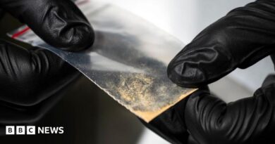 Close-up of gloved hands holding a small transparent plastic packet containing a light-coloured powdery substance. The packet is being examined against an out-of-focus laboratory background.