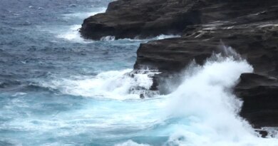 Torrential rains, winds from Hurricane Lowell leaves 30,000 without power