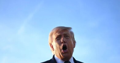 US President Donald Trump addresses the media on the tarmac after arriving at Paris Orly Airport.