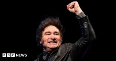 Argentine President Javier Milei, wearing a leather jacket, stands smiling with a closed fist raised against a black backdrop.