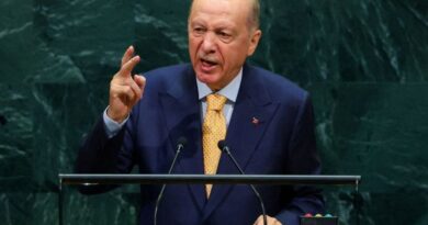 Turkey's Erdogan says equal climate pace unrealistic due to financing gaps