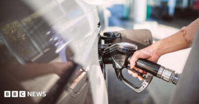 A hand gripping a fuel pump inserted into a white car.