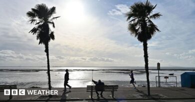 view out to sea with some sunshine and a few clouds in the sky.  Some palm trees and runners along the prominade