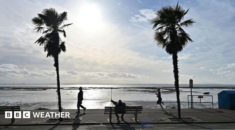 view out to sea with some sunshine and a few clouds in the sky.  Some palm trees and runners along the prominade