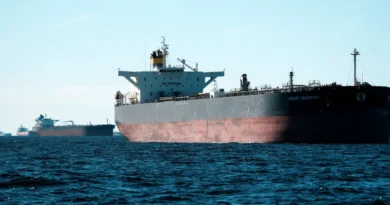 Ukrainian commander says flying drones have disabled 300 tankers in Russia's shadow fleet