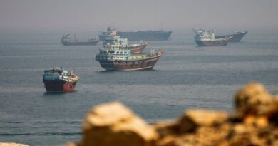 Vessels trickle through Strait of Hormuz as Middle East conflict persists