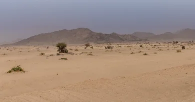 Wadi Al-Mughammas: Where Abraha's Elephant Army Halted