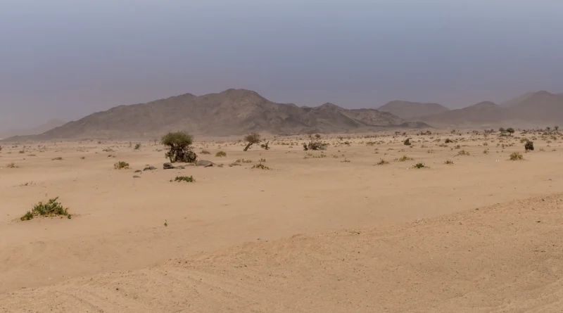 Wadi Al-Mughammas: Where Abraha's Elephant Army Halted