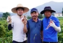 We quit our jobs to travel the world. Now my wife and I run her family's farm in South Korea.