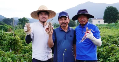 We quit our jobs to travel the world. Now my wife and I run her family's farm in South Korea.
