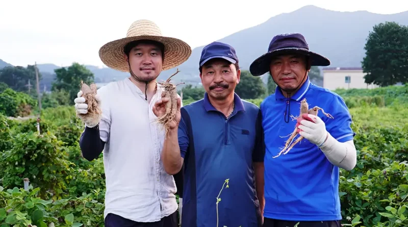 We quit our jobs to travel the world. Now my wife and I run her family's farm in South Korea.