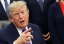 2 policy gurus explain why Trump is mailing $500 checks to nearly 1 million Americans