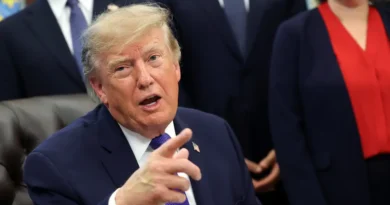 2 policy gurus explain why Trump is mailing $500 checks to nearly 1 million Americans