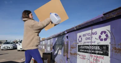 25 items you may be recycling by mistake, and why you shouldn't be