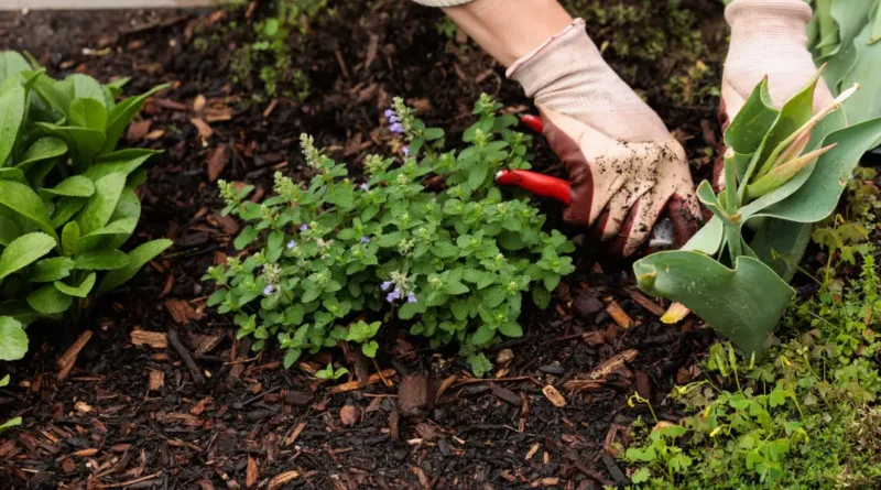 AI was supposed to spare gardeners. Anthropic's robot research has me thinking about pulling weeds.